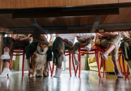 Quelle largeur prévoir pour les pieds d'une table en bois ?